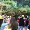 dsc00770